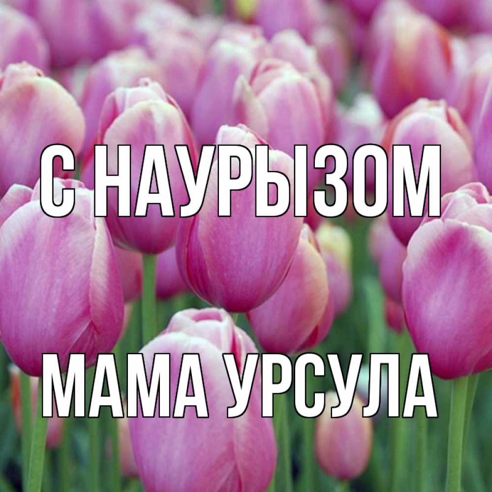 Открытка на каждый день с именем, Мама-Урсула С наурызом праздник весны наурыз 69 Прикольная открытка с пожеланием онлайн скачать бесплатно 