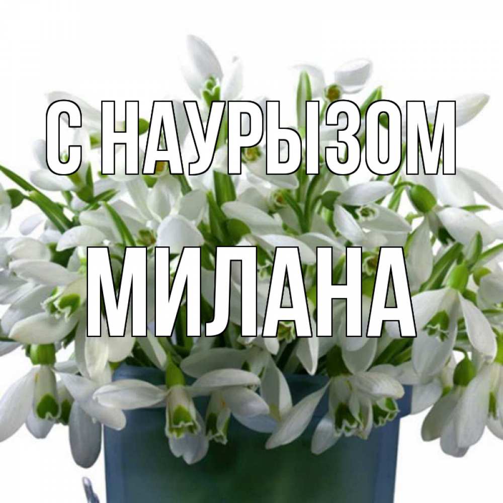 Открытка на каждый день с именем, Милана С наурызом цветы к наурызу новый год в Казахстане Прикольная открытка с пожеланием онлайн скачать бесплатно 