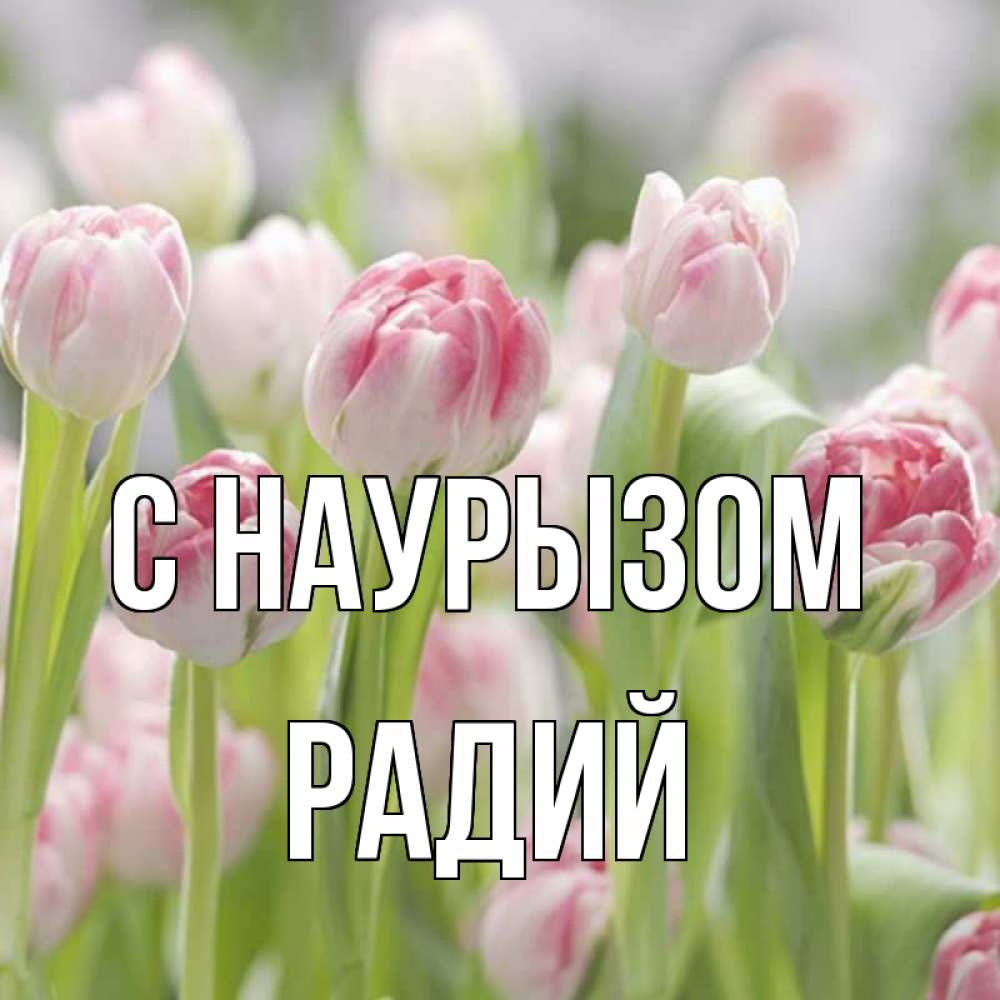 Открытка на каждый день с именем, Радий С наурызом цветы Прикольная открытка с пожеланием онлайн скачать бесплатно 
