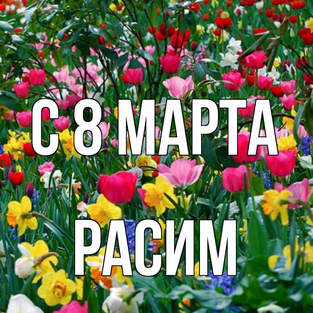 Открытка на каждый день с именем, Расим С 8 МАРТА с международным женским днем поздравления для женщины Прикольная открытка с пожеланием онлайн скачать бесплатно 