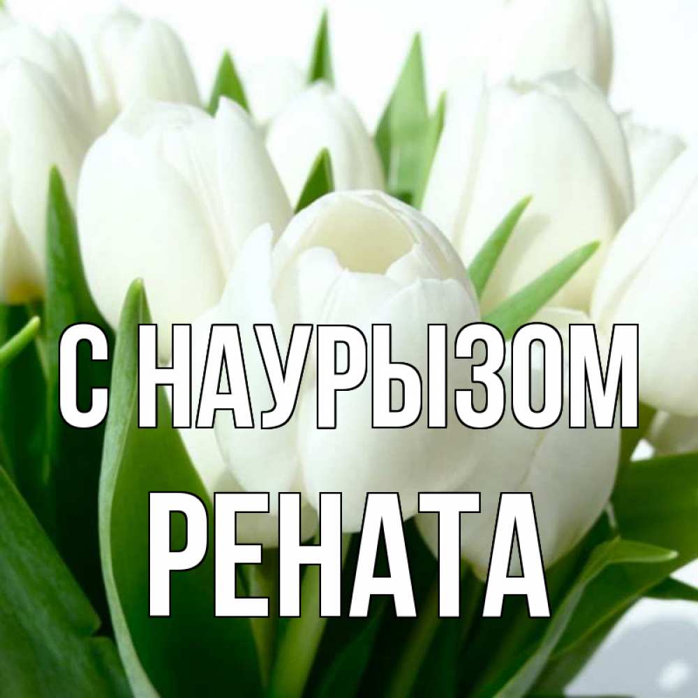 Открытка на каждый день с именем, Рената С наурызом цветы Прикольная открытка с пожеланием онлайн скачать бесплатно 