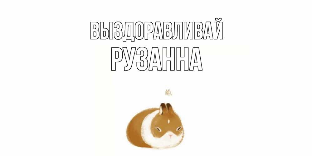 Открытка на каждый день с именем, Рузанна Выздоравливай морская свинка на открытке с пожеланиями не болеть Прикольная открытка с пожеланием онлайн скачать бесплатно 