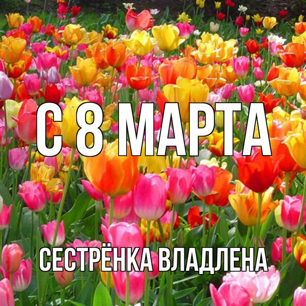 Открытка на каждый день с именем, Сестрёнка-Владлена С 8 МАРТА на международный женский день Прикольная открытка с пожеланием онлайн скачать бесплатно 