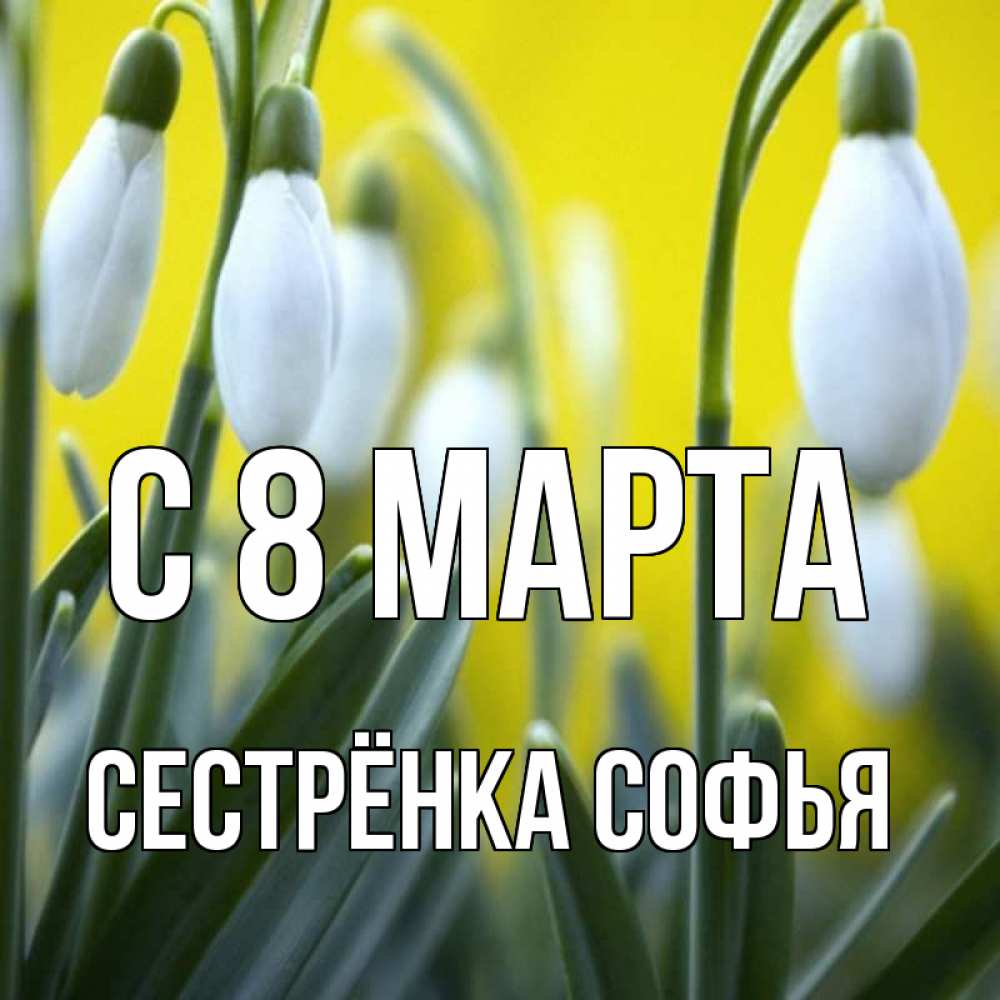 Открытка на каждый день с именем, Сестрёнка-Софья С 8 МАРТА весенние цветы Прикольная открытка с пожеланием онлайн скачать бесплатно 