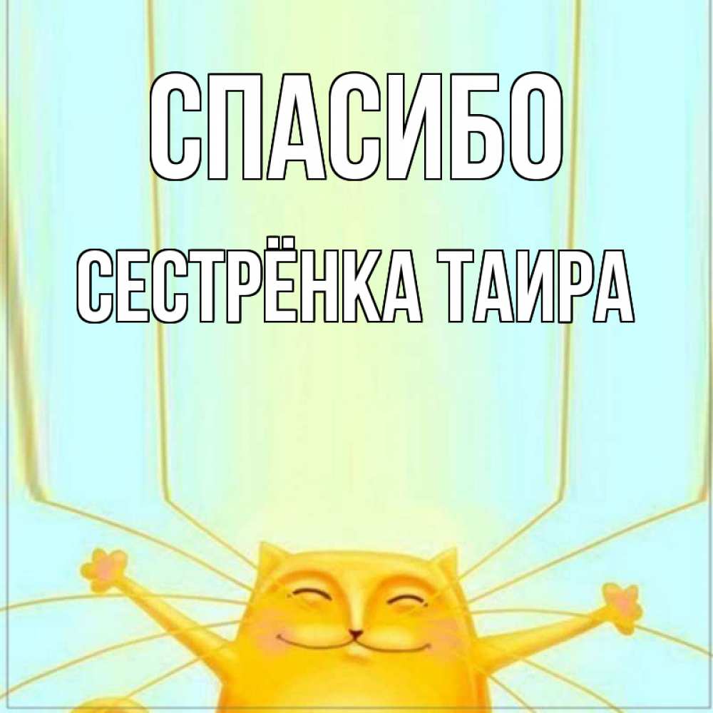 Открытка на каждый день с именем, Сестрёнка-Таира Спасибо кот с усами благодарит Прикольная открытка с пожеланием онлайн скачать бесплатно 