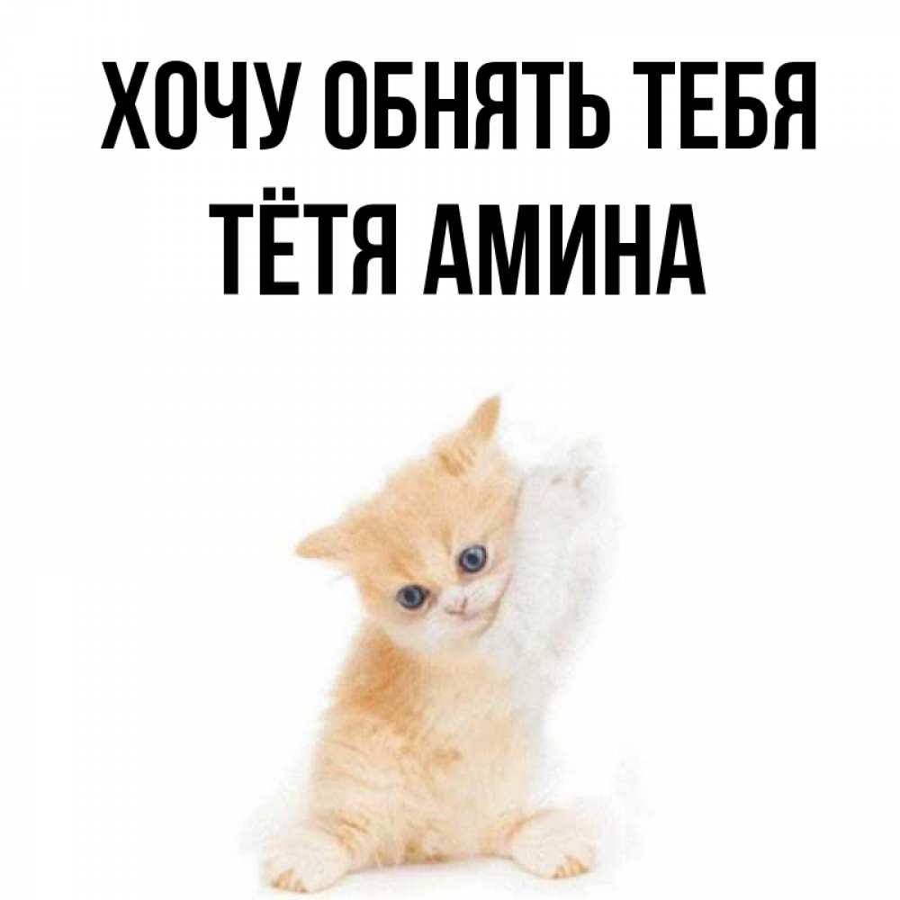 Открытка на каждый день с именем, Тётя-Амина Хочу обнять тебя я хочу очень скорее обнимаешек Прикольная открытка с пожеланием онлайн скачать бесплатно 