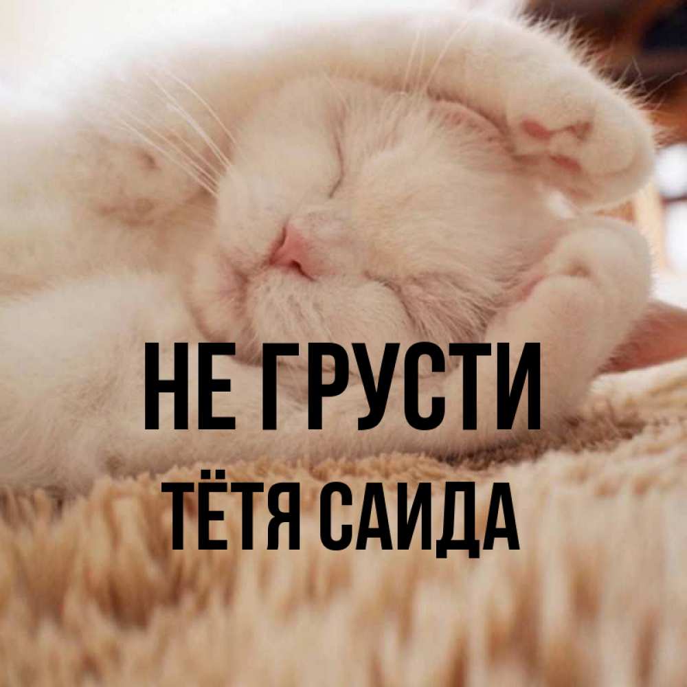 Открытка на каждый день с именем, Тётя-Саида Не грусти Котенок спит Прикольная открытка с пожеланием онлайн скачать бесплатно 