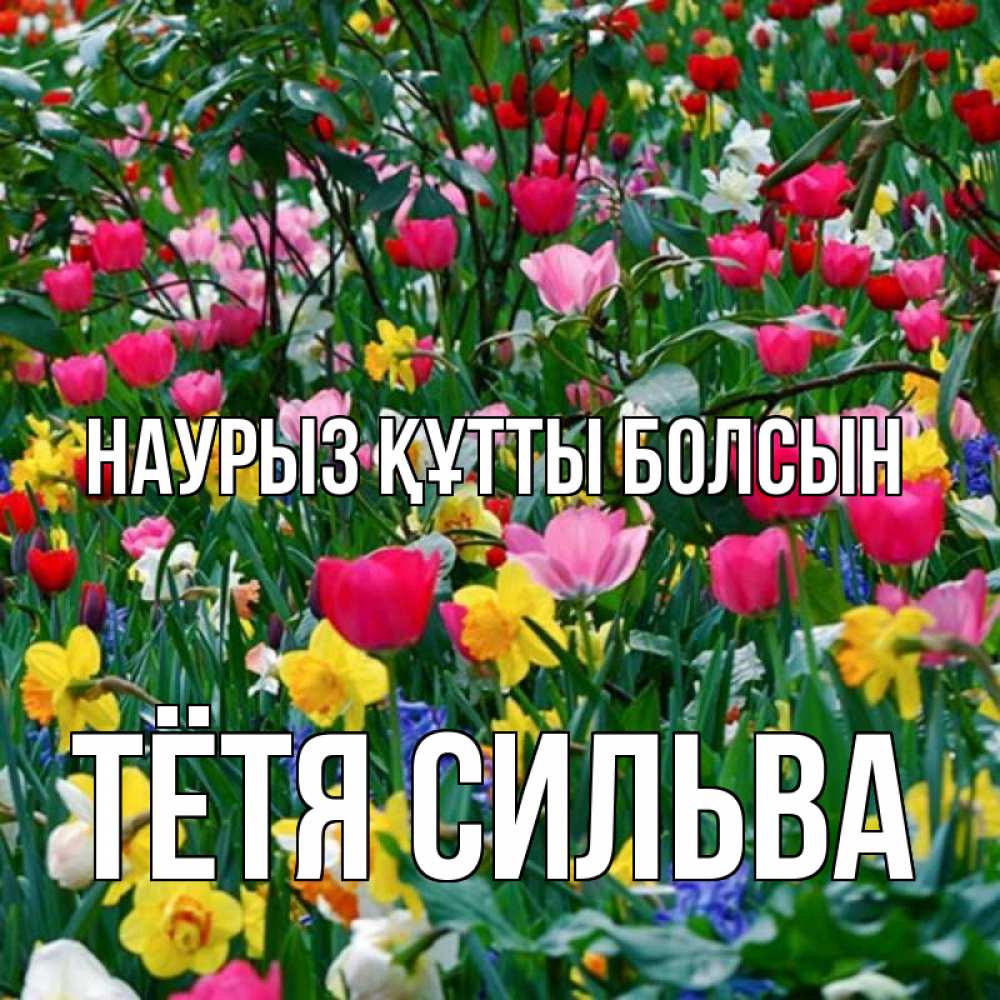 Открытка на каждый день с именем, Тётя-Сильва Наурыз құтты болсын с наурызом поздравления для женщины Прикольная открытка с пожеланием онлайн скачать бесплатно 