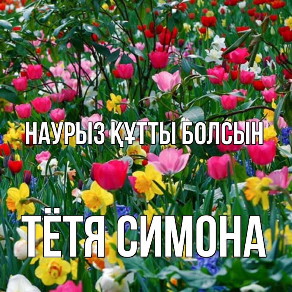 Открытка на каждый день с именем, Тётя-Симона Наурыз құтты болсын с наурызом поздравления для женщины Прикольная открытка с пожеланием онлайн скачать бесплатно 