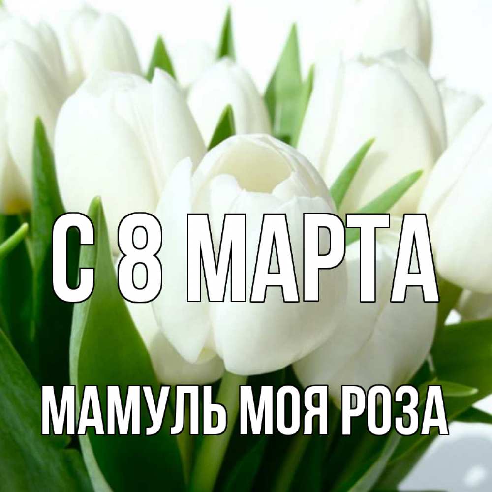 Привет галя картинки прикольные