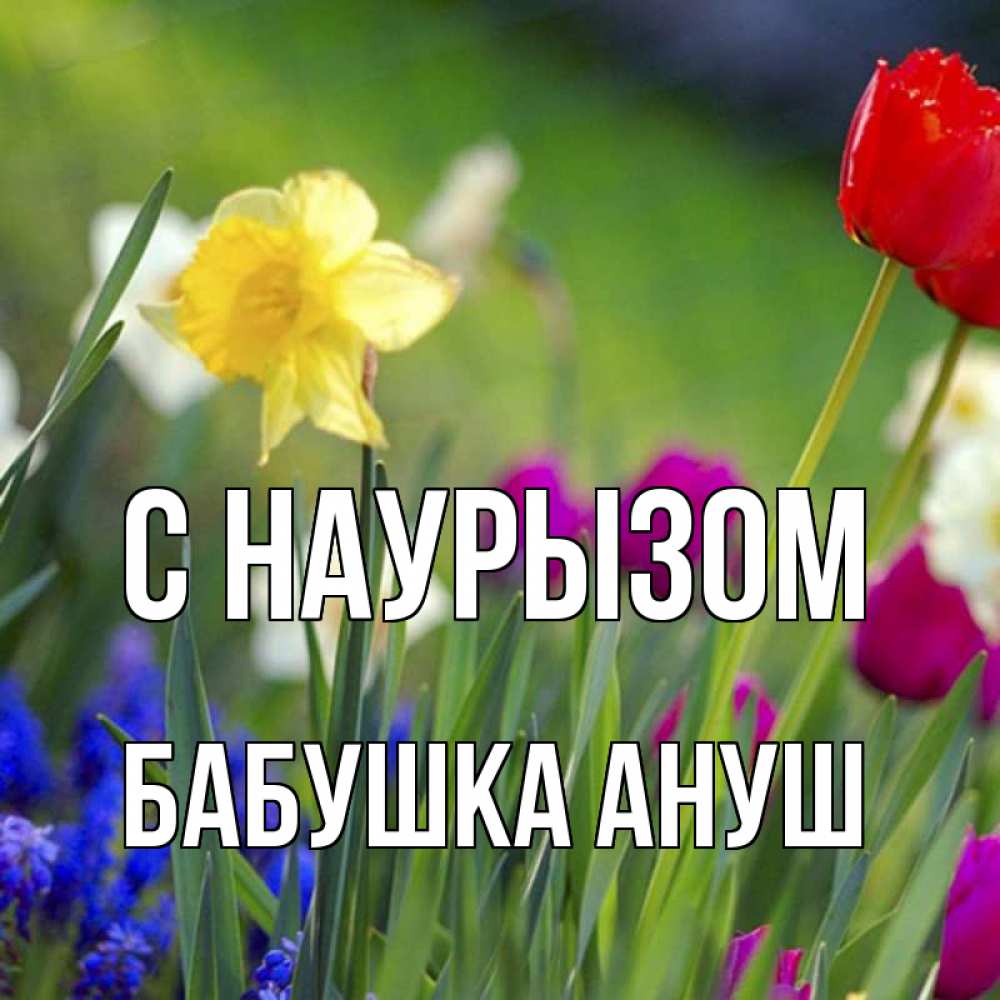 Открытка на каждый день с именем, Бабушка-Ануш С наурызом праздник весны наурыз 3 Прикольная открытка с пожеланием онлайн скачать бесплатно 