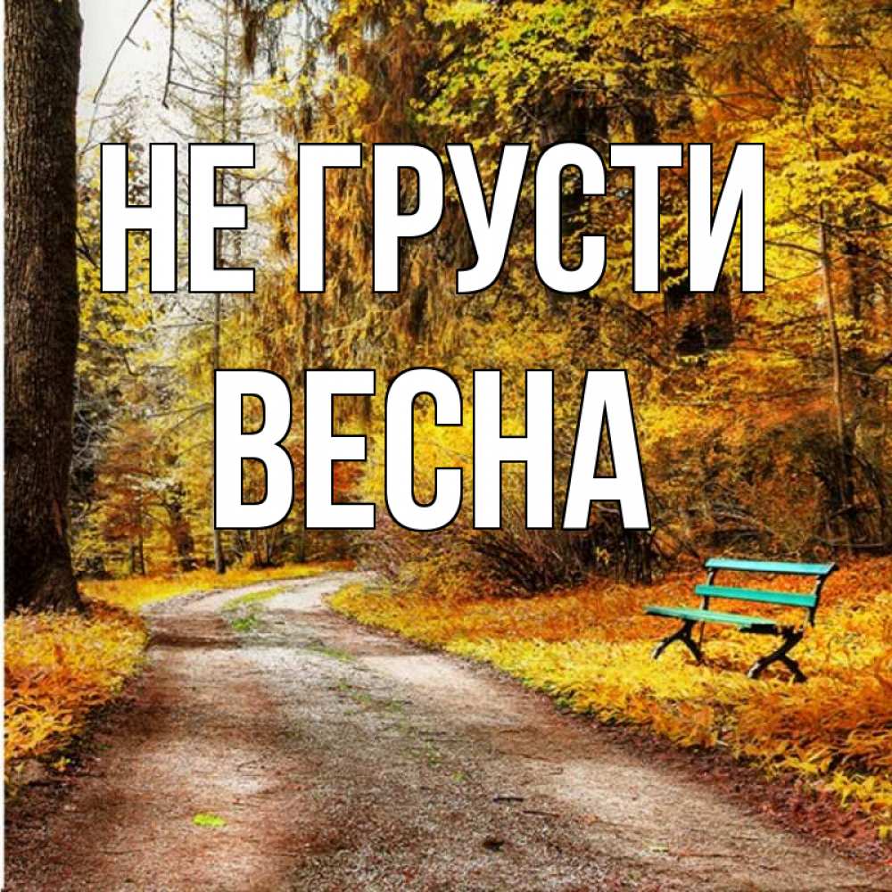Открытка на каждый день с именем, Весна Не грусти зеленая лавочка Прикольная открытка с пожеланием онлайн скачать бесплатно 