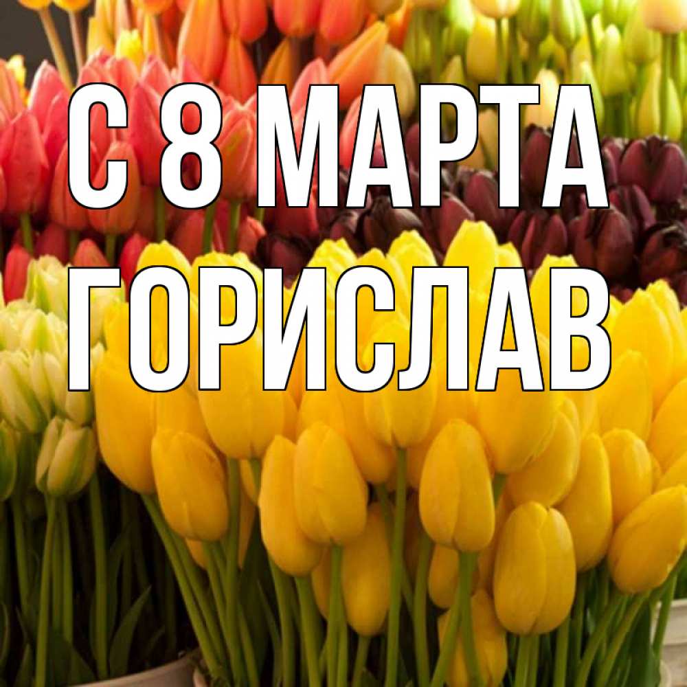 Открытка на каждый день с именем, Горислав С 8 МАРТА цветы Прикольная открытка с пожеланием онлайн скачать бесплатно 