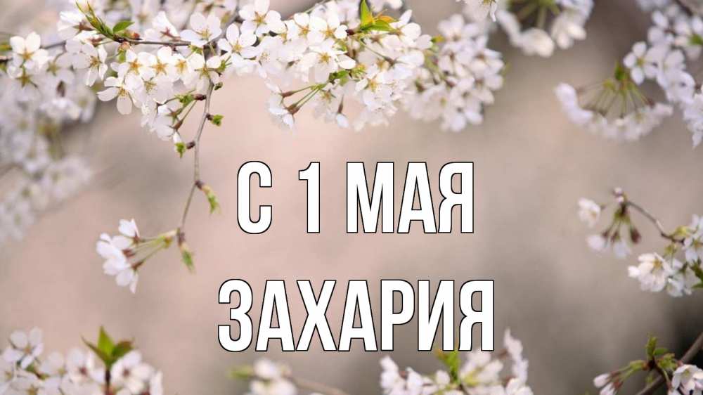 Открытка на каждый день с именем, Захария С 1 мая С 1 мая Прикольная открытка с пожеланием онлайн скачать бесплатно 