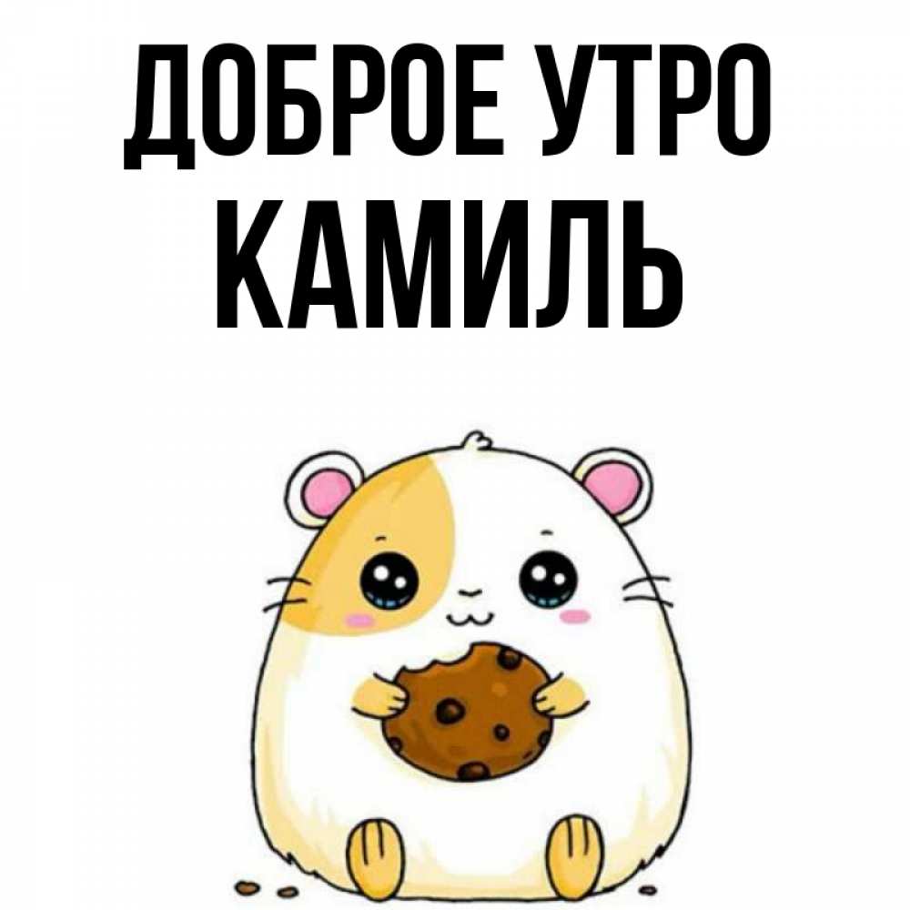 Открытка на каждый день с именем, Камиль Доброе утро есть печеньку. Утречко Прикольная открытка с пожеланием онлайн скачать бесплатно 