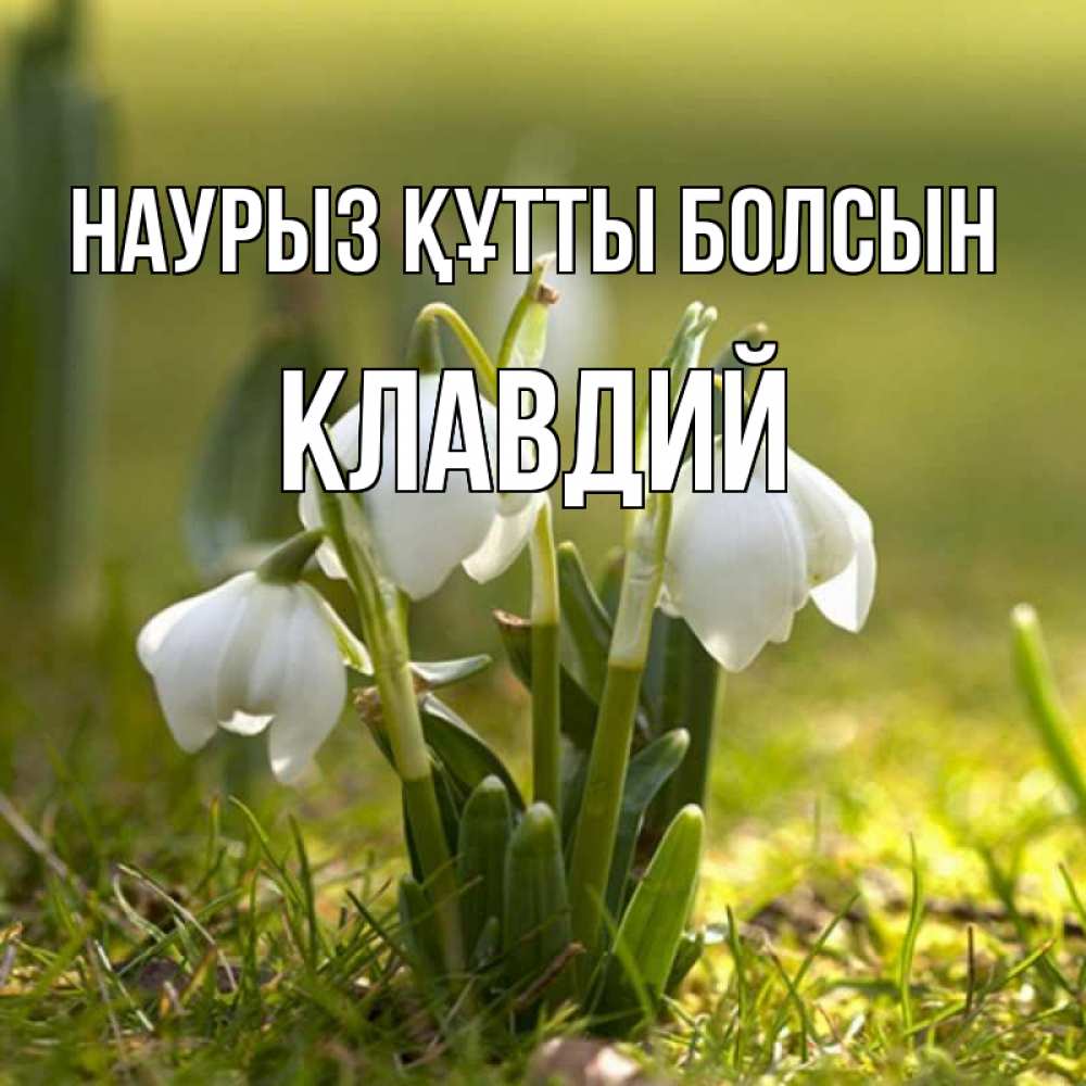 Открытка на каждый день с именем, Клавдий Наурыз құтты болсын ранние цветы 2 Прикольная открытка с пожеланием онлайн скачать бесплатно 