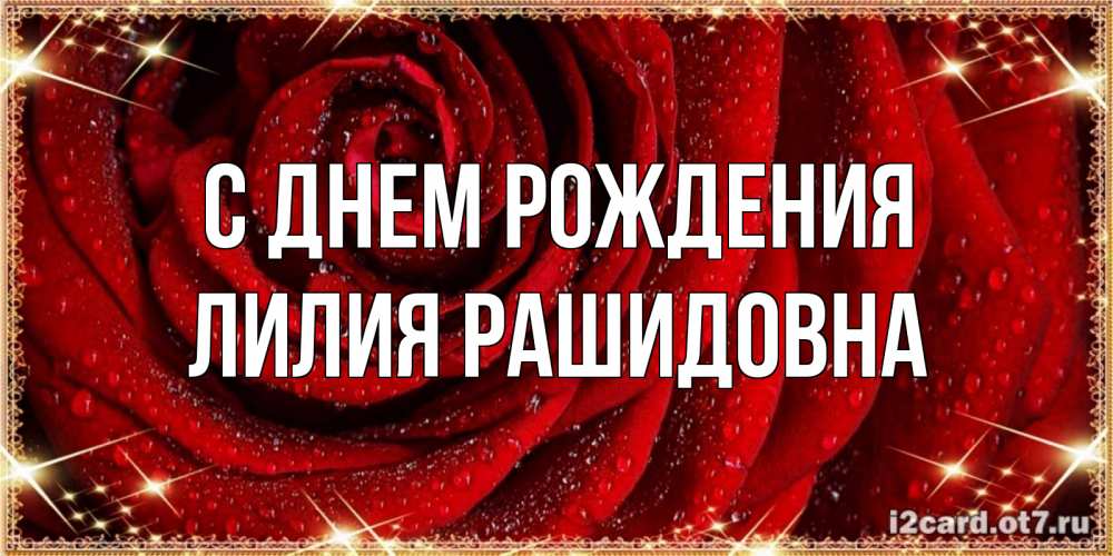 Открытка на каждый день с именем, Лилия-Рашидовна С днем рождения роса на розе блестящая в лучах солнца Прикольная открытка с пожеланием онлайн скачать бесплатно 