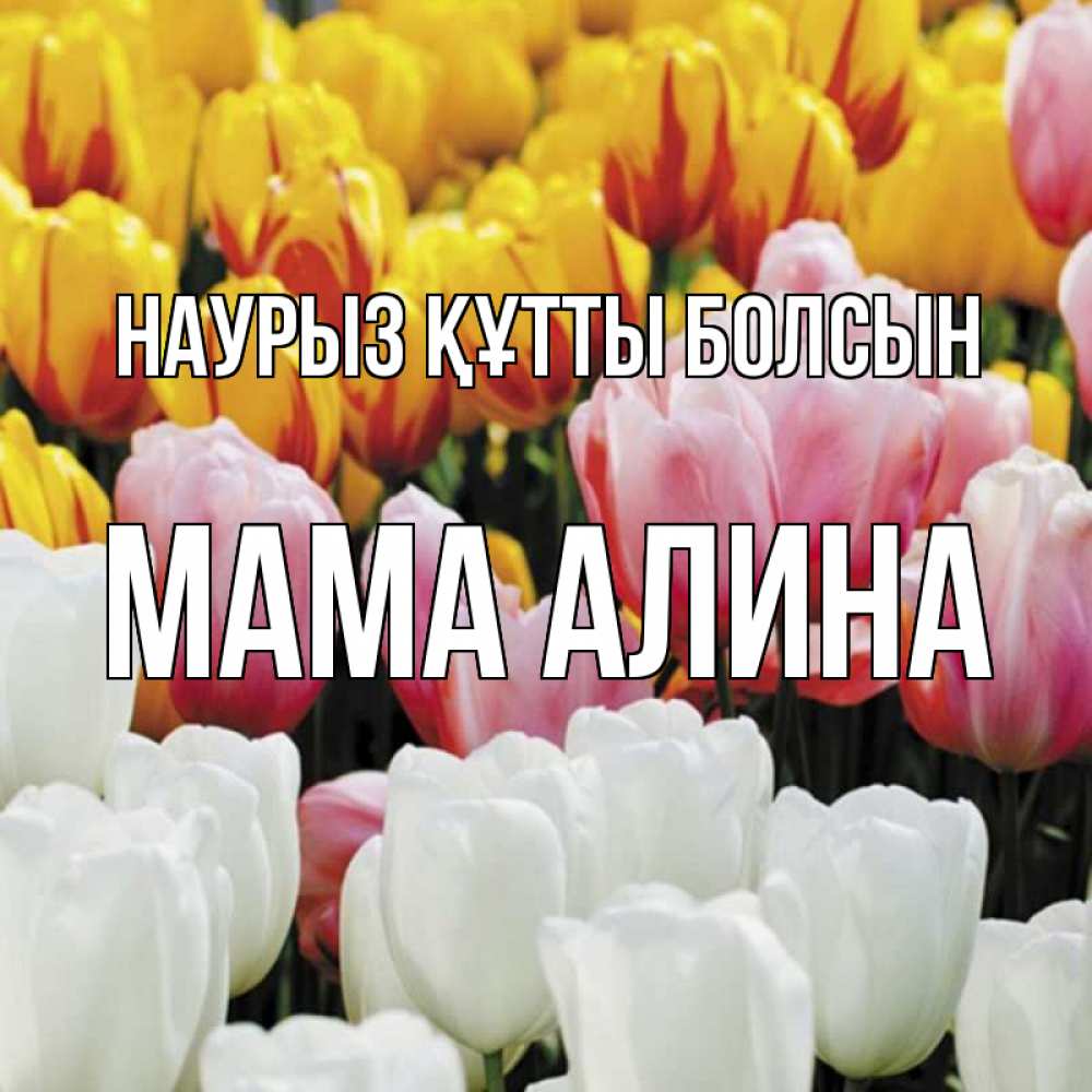 Открытка на каждый день с именем, Мама-Алина Наурыз құтты болсын разноцветные цветы Прикольная открытка с пожеланием онлайн скачать бесплатно 