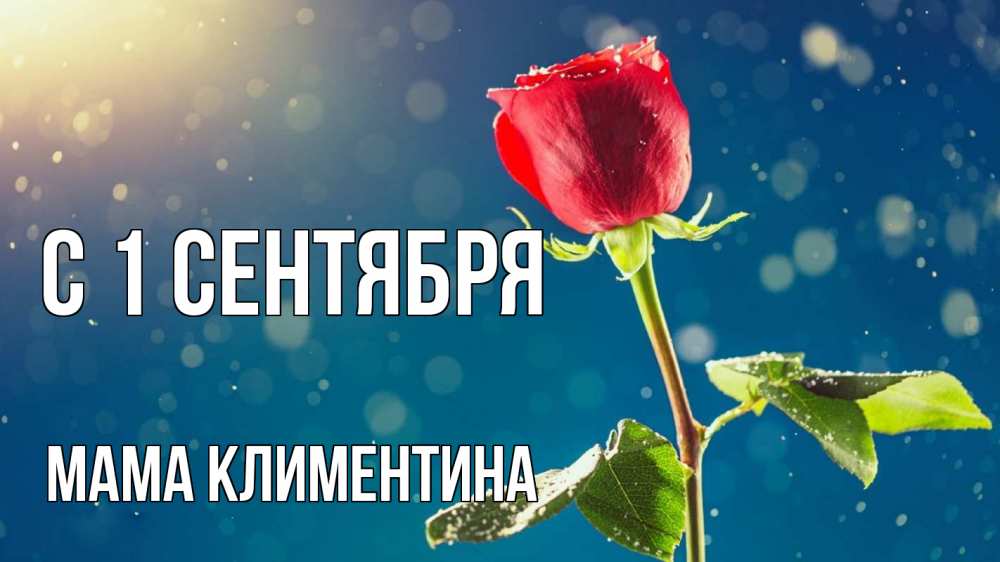 Открытка на каждый день с именем, Мама-Климентина С 1 сентября с днем знаний Прикольная открытка с пожеланием онлайн скачать бесплатно 