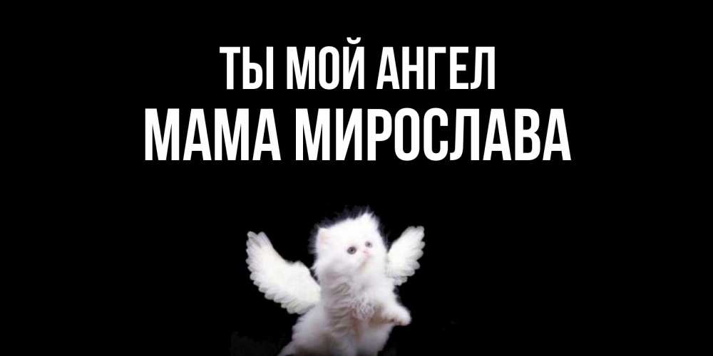 Открытка на каждый день с именем, Мама-Мирослава Ты мой ангел Кот ангел Прикольная открытка с пожеланием онлайн скачать бесплатно 