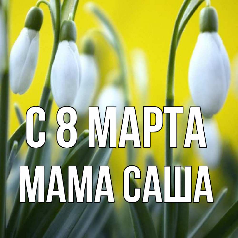 Открытка на каждый день с именем, Мама-Саша С 8 МАРТА весенние цветы Прикольная открытка с пожеланием онлайн скачать бесплатно 