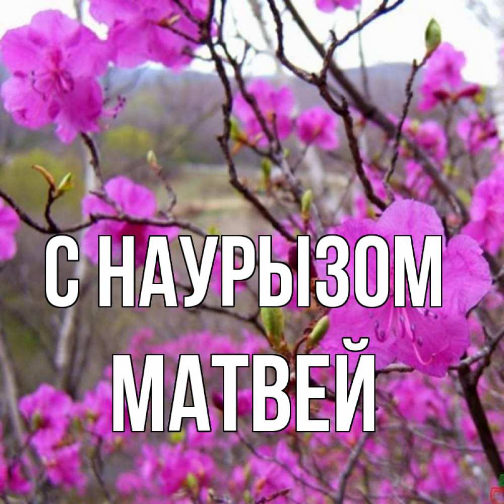 Открытка на каждый день с именем, Матвей С наурызом праздник весны наурыз Прикольная открытка с пожеланием онлайн скачать бесплатно 