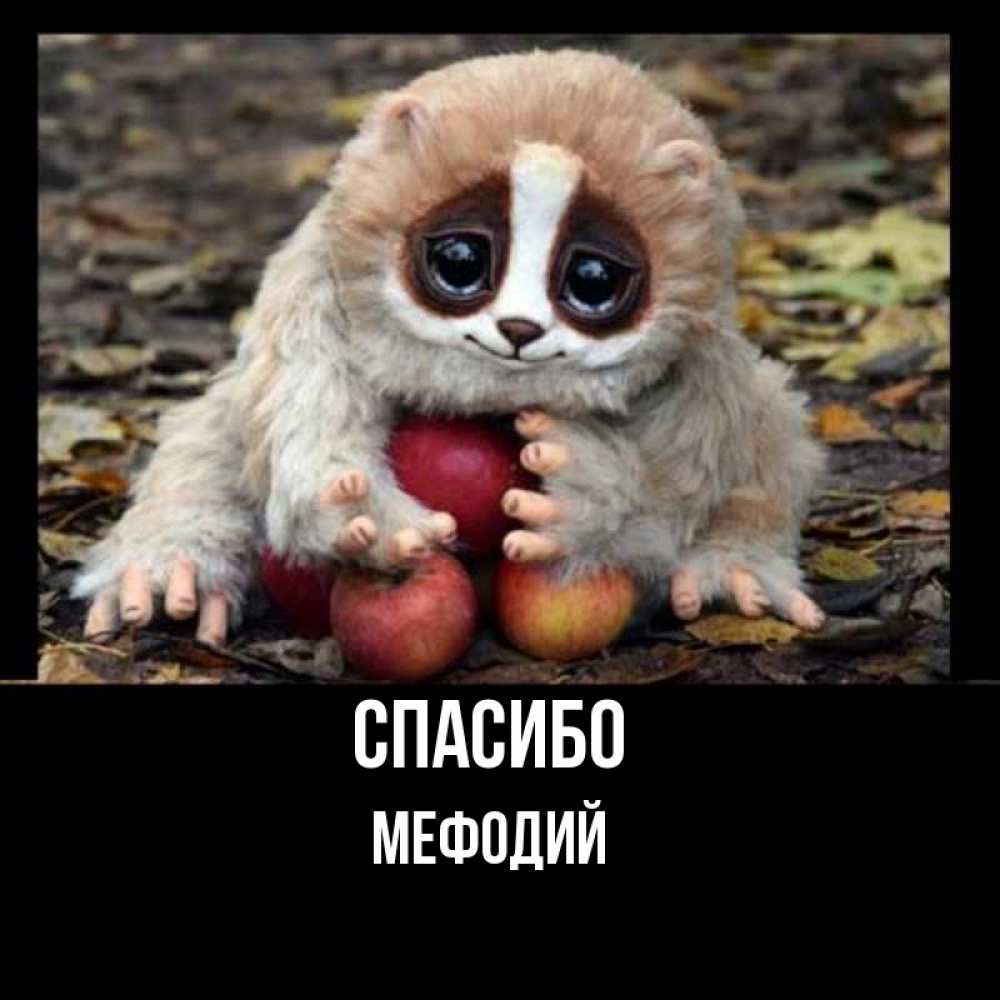 Открытка на каждый день с именем, Мефодий Спасибо прикольное животное Прикольная открытка с пожеланием онлайн скачать бесплатно 