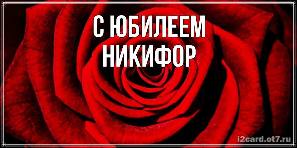 Открытка на каждый день с именем, Никифор С юбилеем алая роза Прикольная открытка с пожеланием онлайн скачать бесплатно 