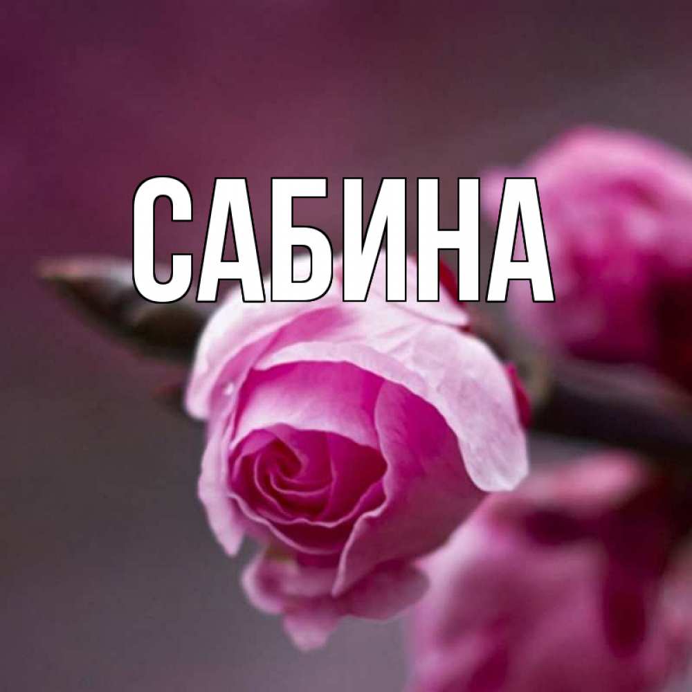 Картинка  с именем , Сабина
