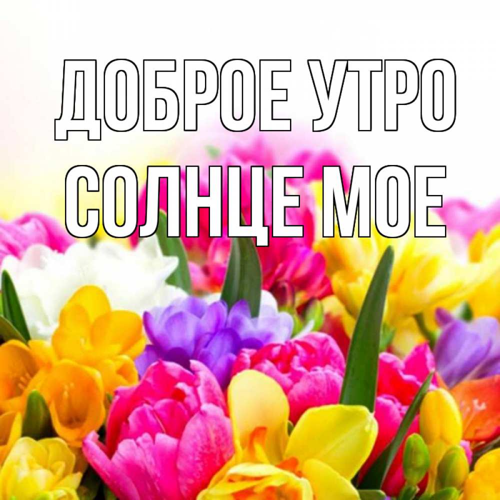 Открытка на каждый день с именем, Солнце-мое Доброе утро создать открытку со свое подписью Прикольная открытка с пожеланием онлайн скачать бесплатно 