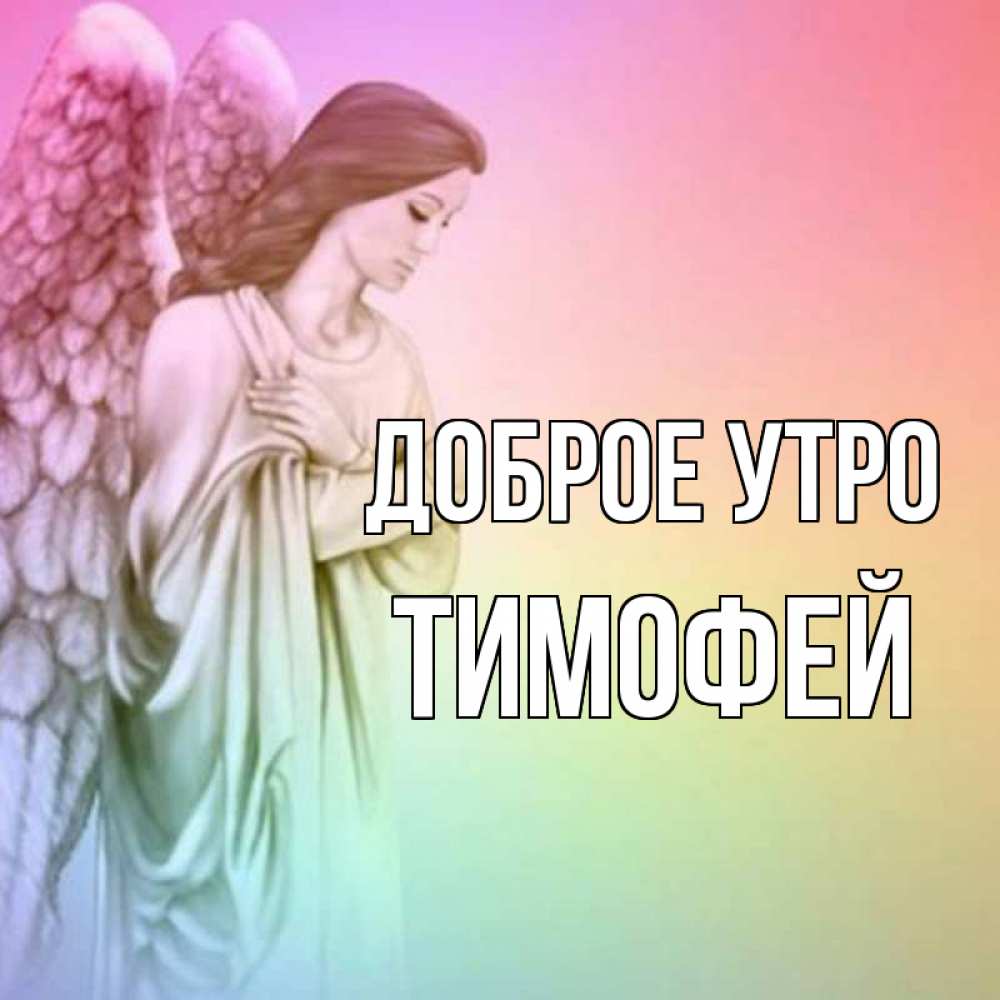 Открытка на каждый день с именем, Тимофей Доброе утро крылья Прикольная открытка с пожеланием онлайн скачать бесплатно 