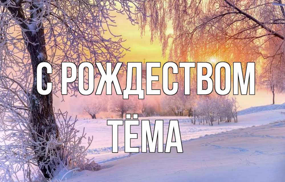 Открытка на каждый день с именем, Тёма С рождеством рождество, лес, зима 1 Прикольная открытка с пожеланием онлайн скачать бесплатно 
