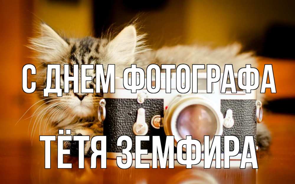 Открытка на каждый день с именем, Тётя-Земфира С днем фотографа с днем фотографа Прикольная открытка с пожеланием онлайн скачать бесплатно 