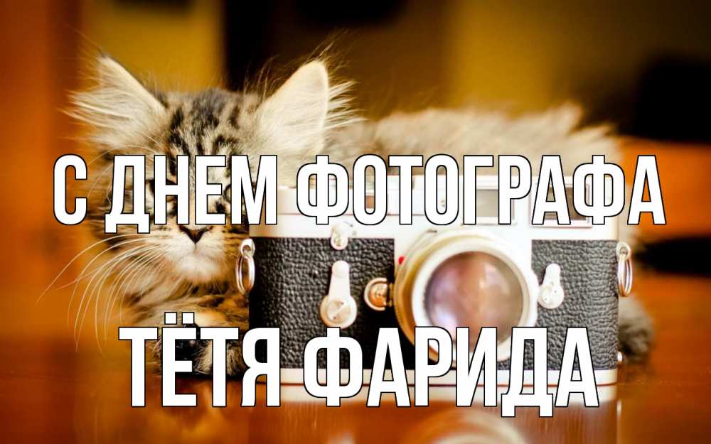 Открытка на каждый день с именем, Тётя-Фарида С днем фотографа с днем фотографа Прикольная открытка с пожеланием онлайн скачать бесплатно 