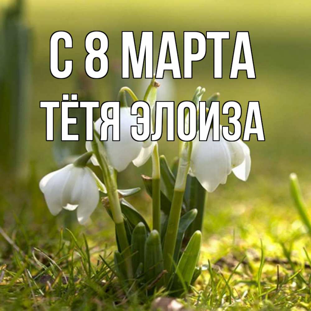 Открытка на каждый день с именем, Тётя-Элоиза С 8 МАРТА ранние цветы 2 Прикольная открытка с пожеланием онлайн скачать бесплатно 