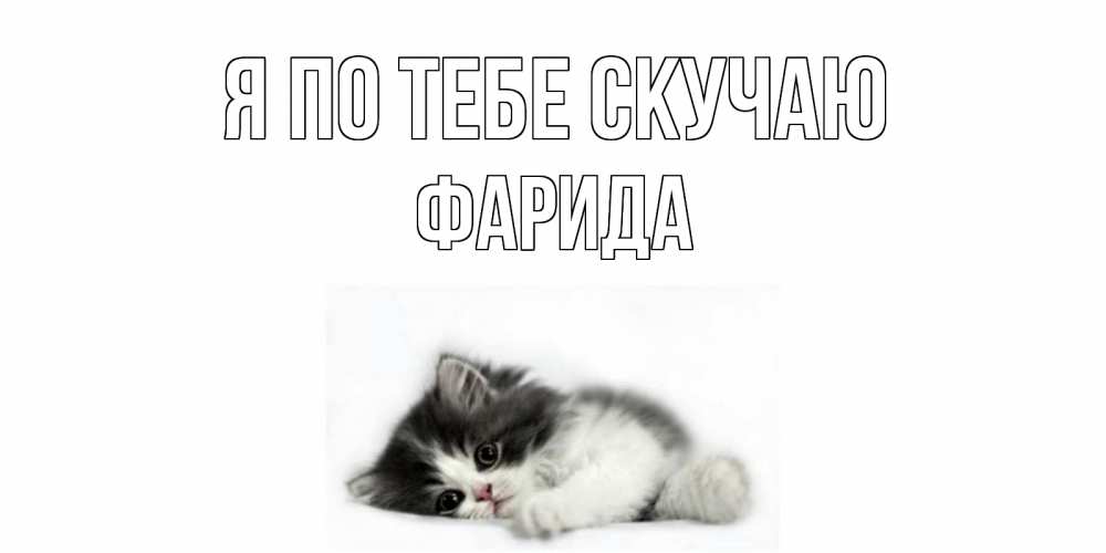 Открытка на каждый день с именем, Фарида Я по тебе скучаю кот, скука Прикольная открытка с пожеланием онлайн скачать бесплатно 