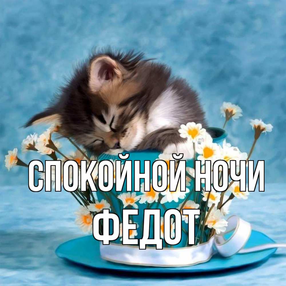Открытка на каждый день с именем, Федот Спокойной ночи котенок спит в кружке с блюдцем Прикольная открытка с пожеланием онлайн скачать бесплатно 