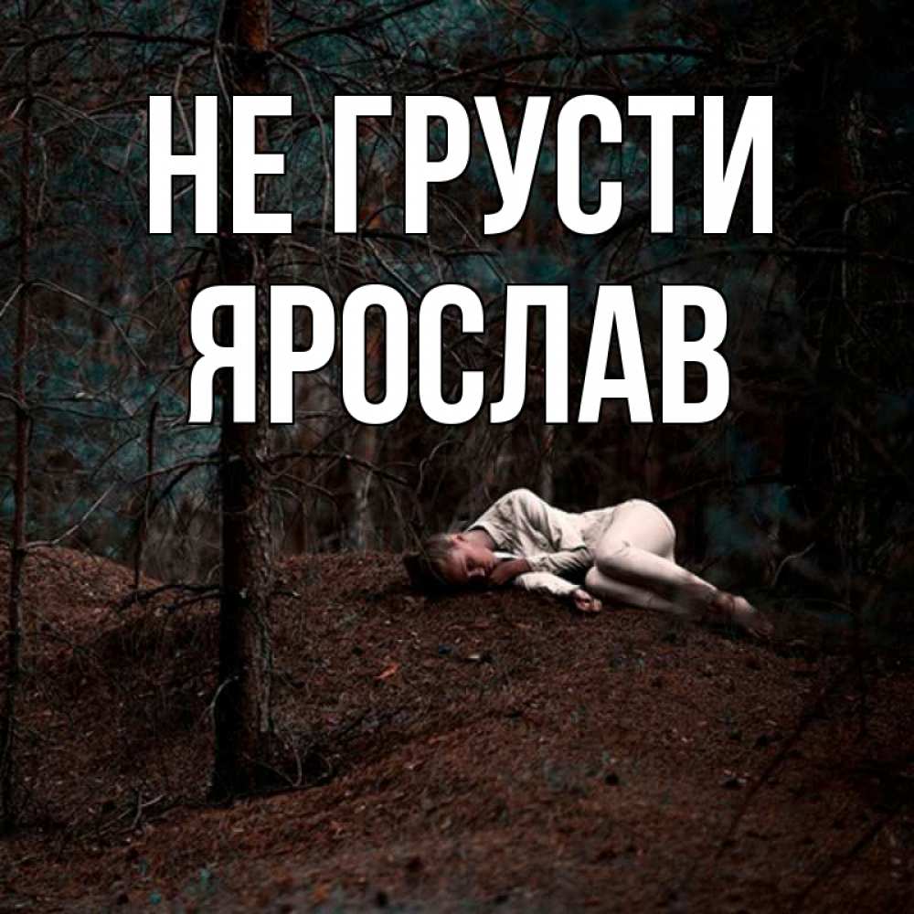 Открытка на каждый день с именем, Ярослав Не грусти лес Прикольная открытка с пожеланием онлайн скачать бесплатно 