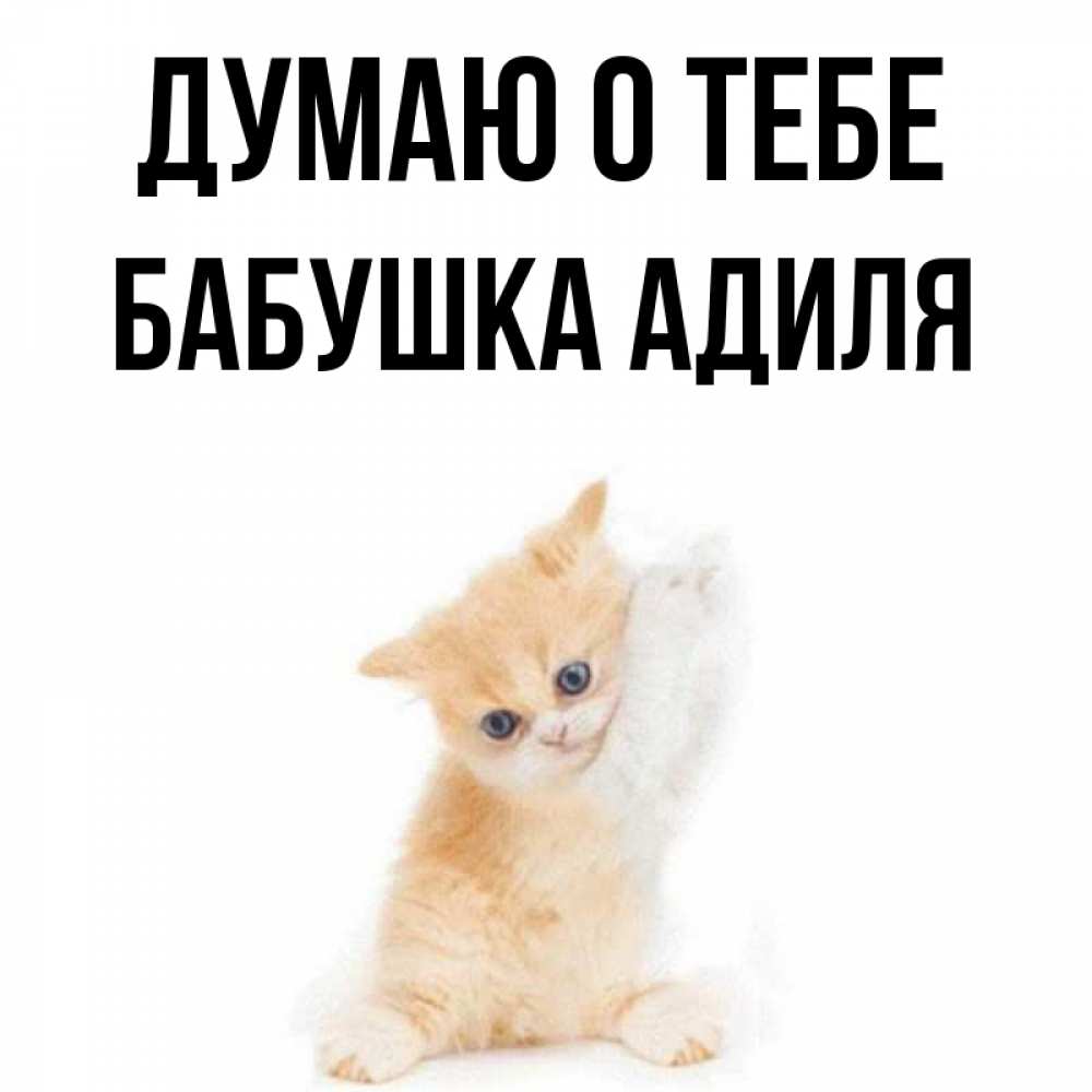 Открытка на каждый день с именем, Бабушка-Адиля Думаю о тебе зверушки и милота Прикольная открытка с пожеланием онлайн скачать бесплатно 