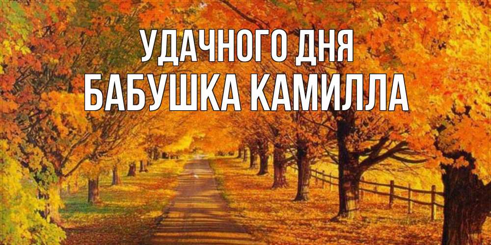 Открытка на каждый день с именем, Бабушка-Камилла Удачного дня деревья с осенними листьями Прикольная открытка с пожеланием онлайн скачать бесплатно 