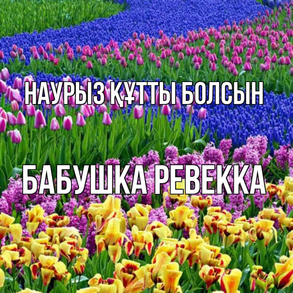 Открытка на каждый день с именем, Бабушка-Ревекка Наурыз құтты болсын цветы Прикольная открытка с пожеланием онлайн скачать бесплатно 