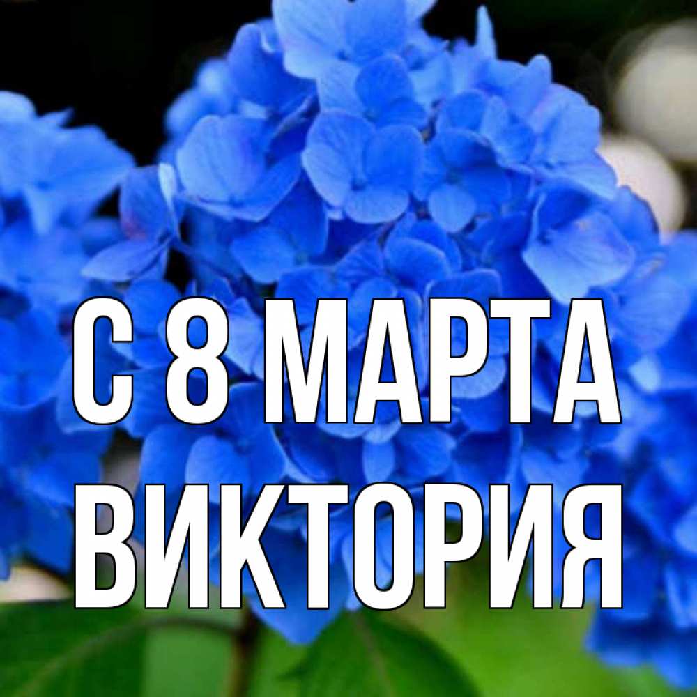Открытка на каждый день с именем, Виктория С 8 МАРТА синие цветы Прикольная открытка с пожеланием онлайн скачать бесплатно 