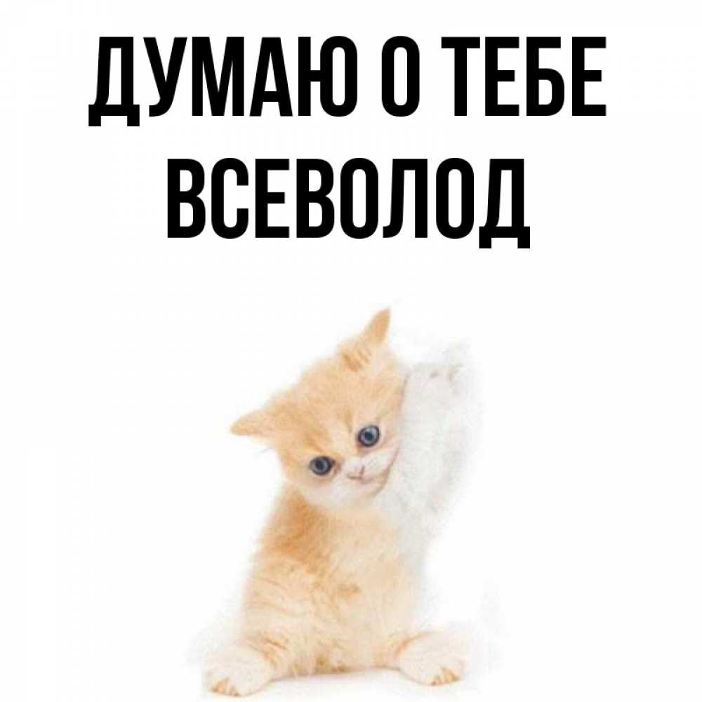 Открытка на каждый день с именем, Всеволод Думаю о тебе зверушки и милота Прикольная открытка с пожеланием онлайн скачать бесплатно 