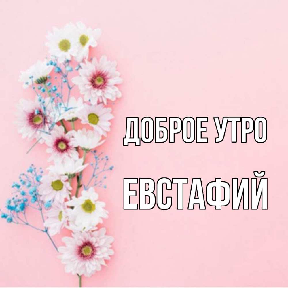 Открытка на каждый день с именем, Евстафий Доброе утро цветы с подписью Прикольная открытка с пожеланием онлайн скачать бесплатно 