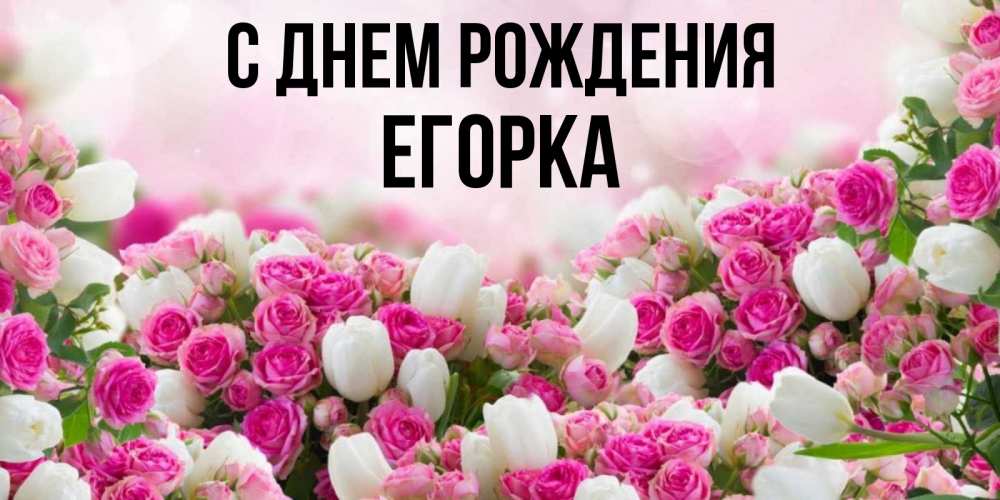 Открытка на каждый день с именем, Егорка С днем рождения открытка с разными розами Прикольная открытка с пожеланием онлайн скачать бесплатно 