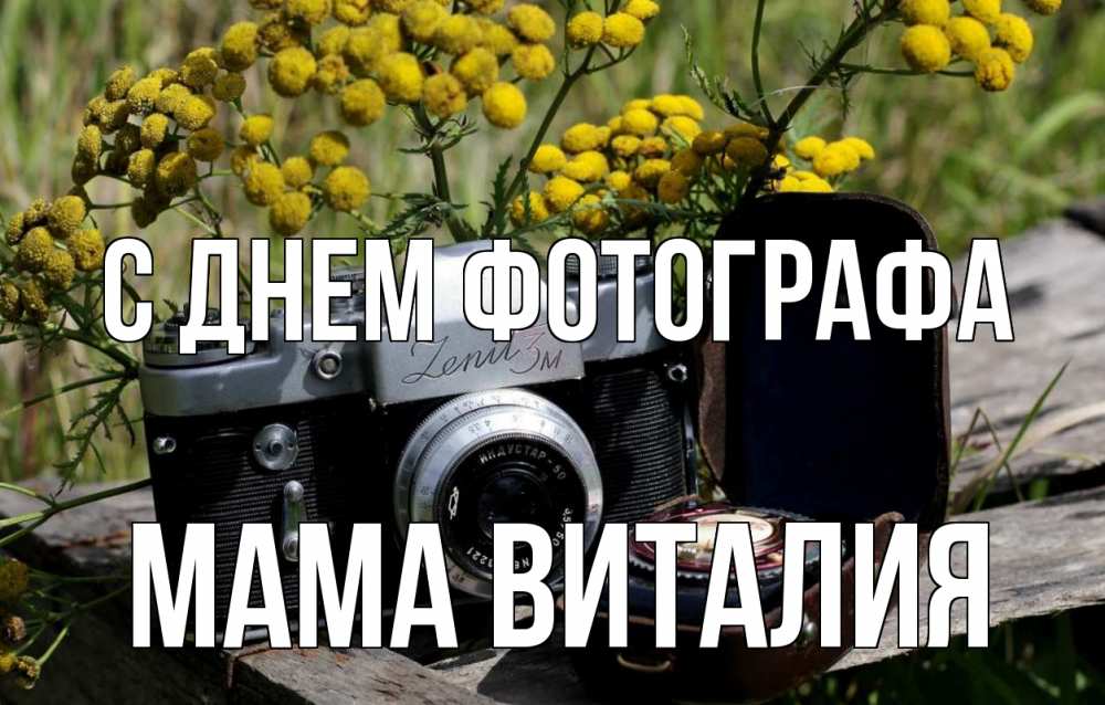 Открытка на каждый день с именем, Мама-Виталия С днем фотографа с днем фотографа Прикольная открытка с пожеланием онлайн скачать бесплатно 