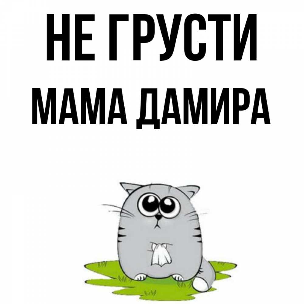 Открытка на каждый день с именем, Мама-Дамира Не грусти грустный котяра Прикольная открытка с пожеланием онлайн скачать бесплатно 