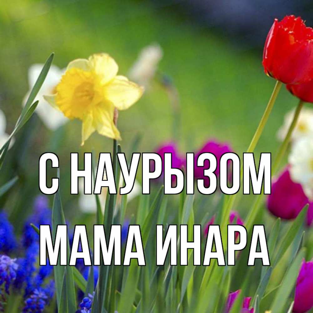 Открытка на каждый день с именем, Мама-Инара С наурызом праздник весны наурыз 3 Прикольная открытка с пожеланием онлайн скачать бесплатно 
