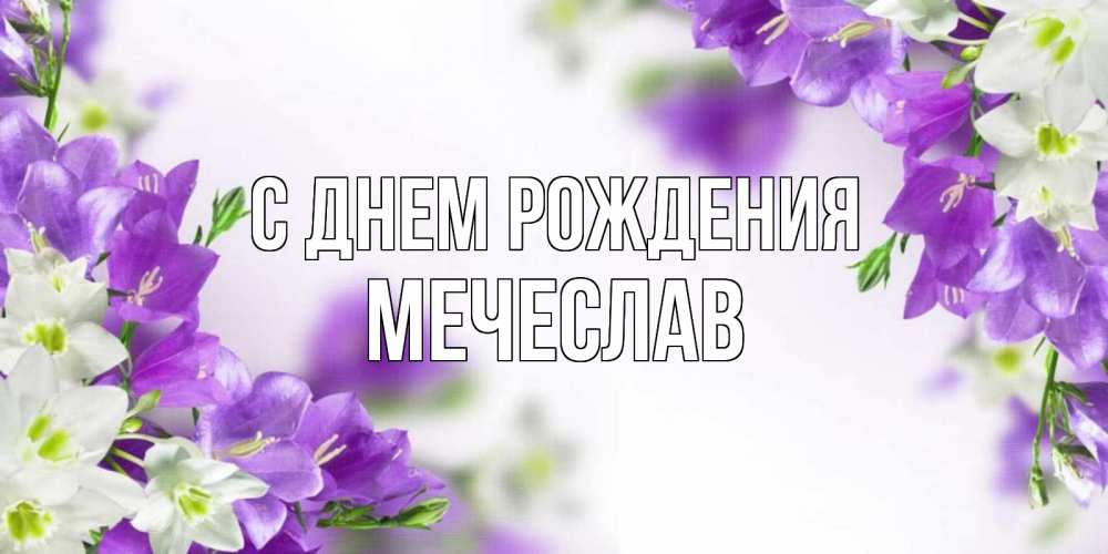 Открытка на каждый день с именем, Мечеслав С днем рождения открытка на день рождения с сиреневыми цветами Прикольная открытка с пожеланием онлайн скачать бесплатно 