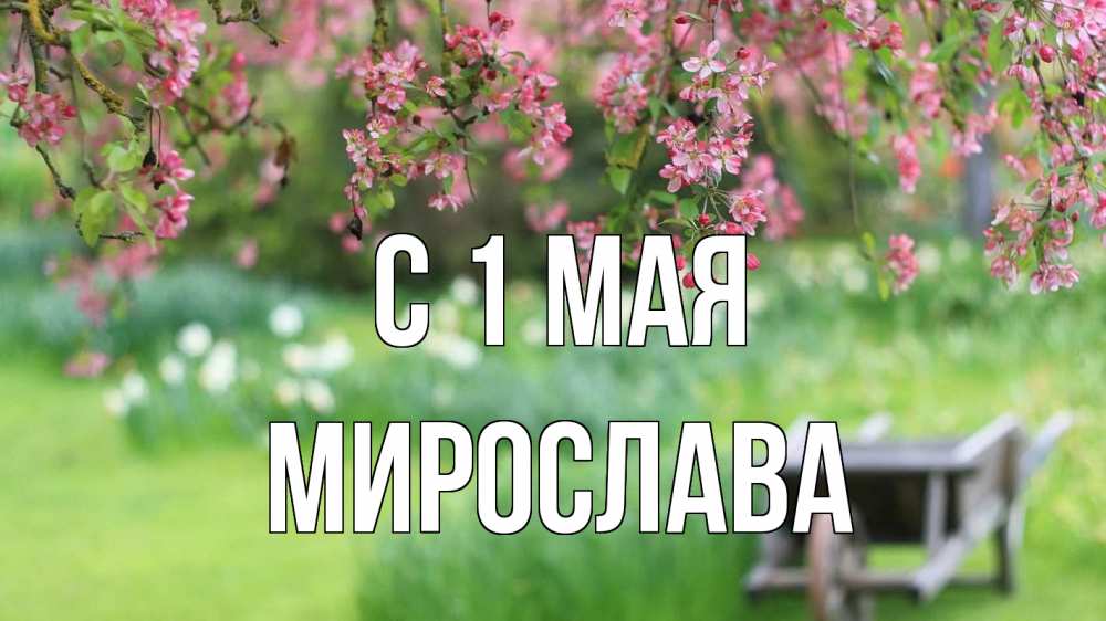 Открытка на каждый день с именем, Мирослава С 1 мая С 1 мая Прикольная открытка с пожеланием онлайн скачать бесплатно 